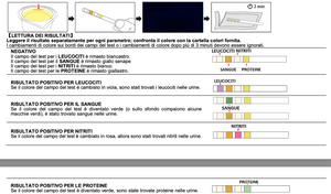 Verify® Selbsttest für Harnwegsinfektionen 
