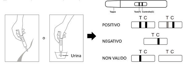 Verify® Schwangerschaftstest 