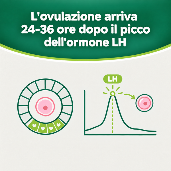 Verify® Self Test Ovulazione – carosello informativo, slide 1 di 7